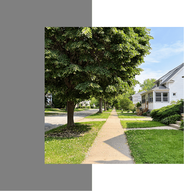 Tree-lined suburban sidewalk with houses